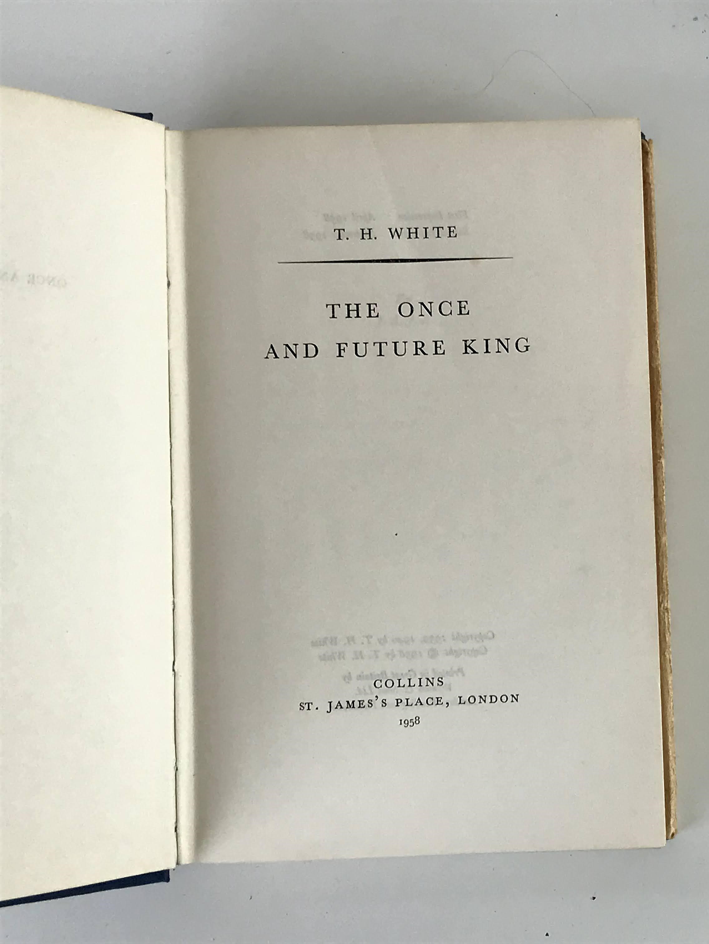 THE ONCE AND FUTURE KING Image