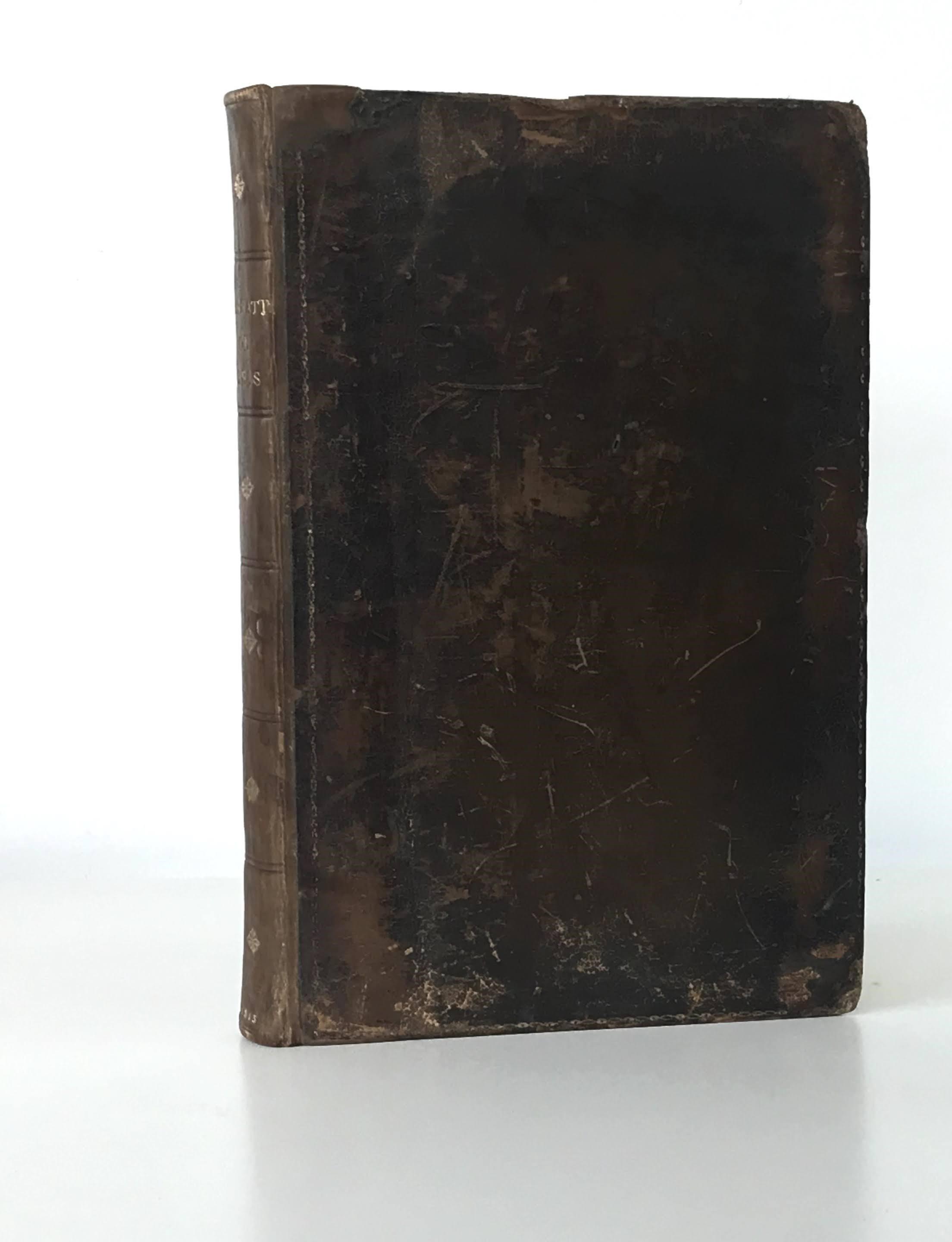 THE WORKS OF DAMIANO Image