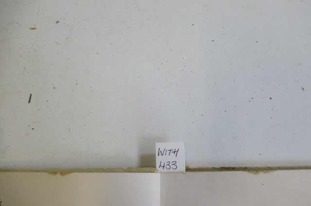 LOUIS WAIN NURSERY BOOK Image