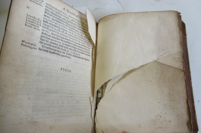 A TREATISE OF THE LAWES OF THE FOREST Image