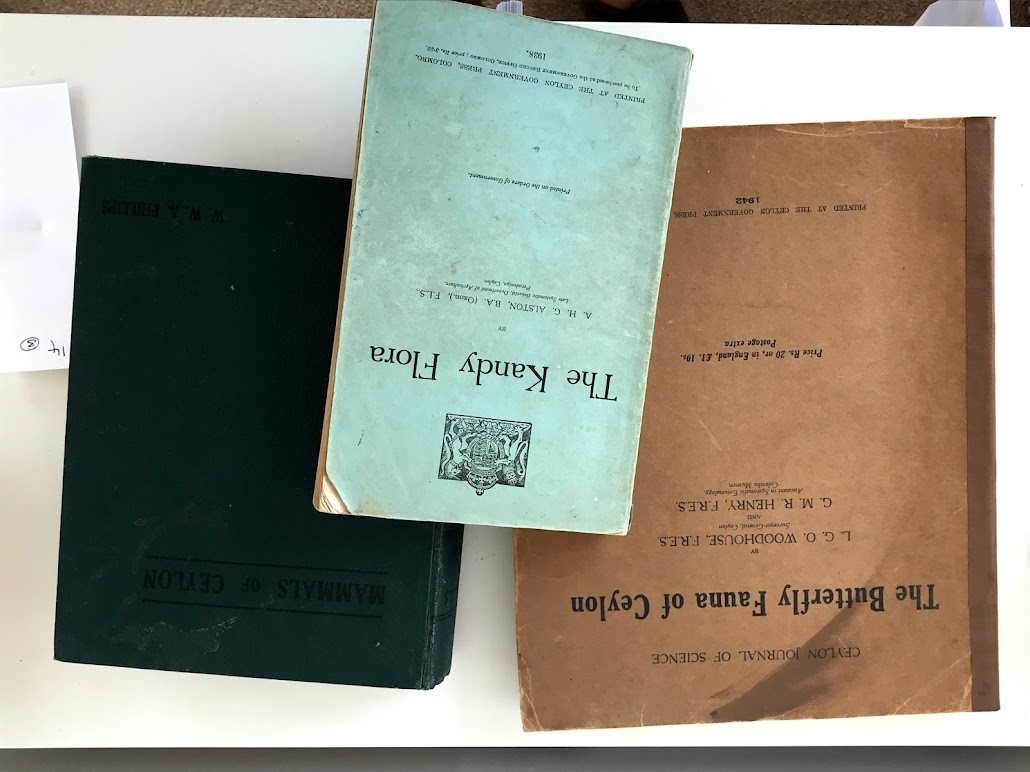 THE BUTTERFLY FAUNA OF CEYLON Image