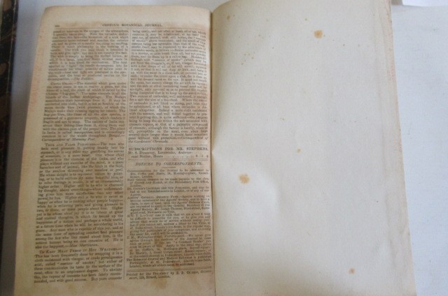 COFFINS BOTANICAL JOURNAL Image