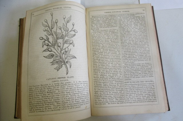 COFFINS BOTANICAL JOURNAL Image