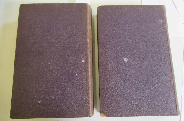 COFFINS BOTANICAL JOURNAL Image