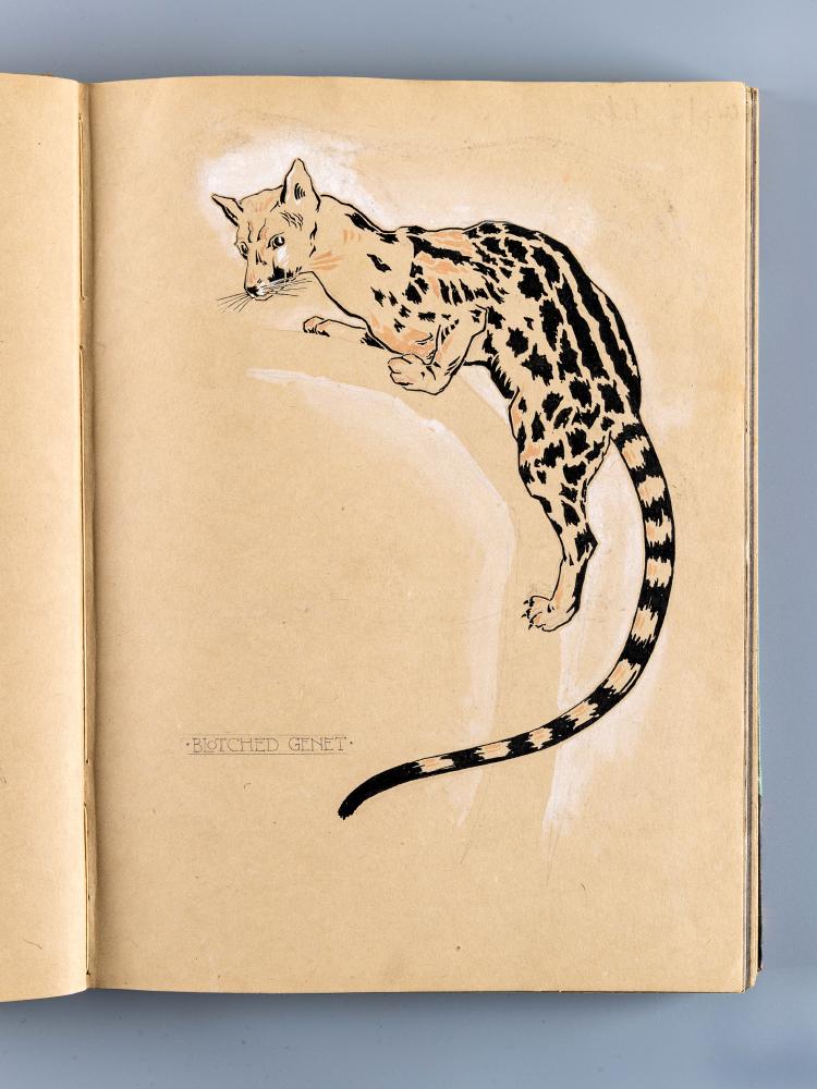 KENNETH HOLMES Image