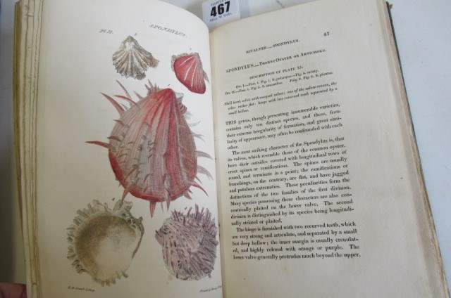 THE LINNAEAN SYSTEM OF CONCHOLOGY Image