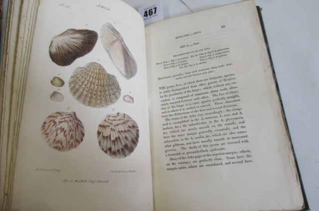 THE LINNAEAN SYSTEM OF CONCHOLOGY Image