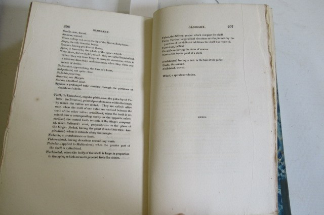 THE LINNAEAN SYSTEM OF CONCHOLOGY Image