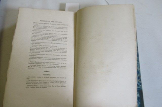 THE LINNAEAN SYSTEM OF CONCHOLOGY Image