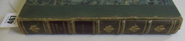 THE LINNAEAN SYSTEM OF CONCHOLOGY Image