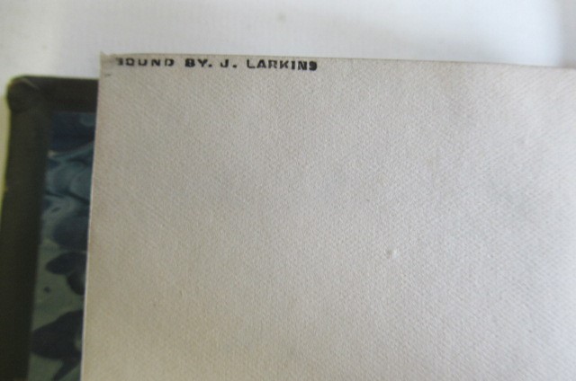 THE LINNAEAN SYSTEM OF CONCHOLOGY Image