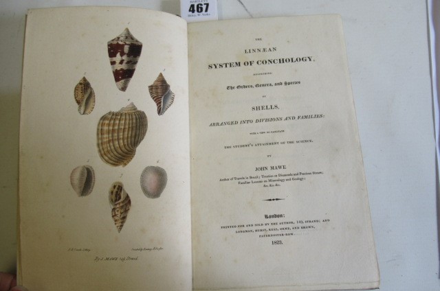 THE LINNAEAN SYSTEM OF CONCHOLOGY Image