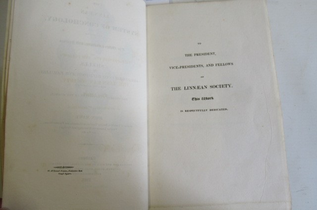 THE LINNAEAN SYSTEM OF CONCHOLOGY Image