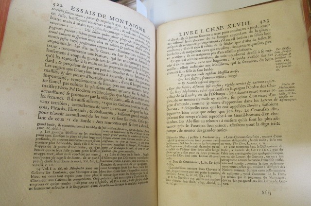 LES ESSAIS DE MICHEL SEIGNEUR DE MONTAIGNE Image