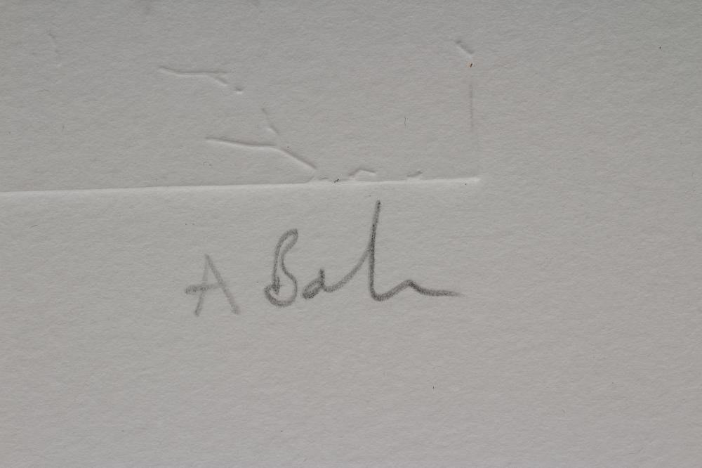 ANDY BOLTON (Contemporary) Image