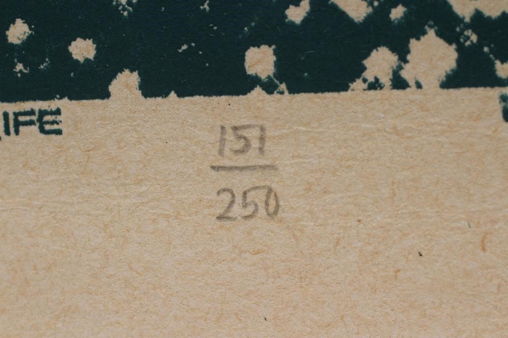 CHRIS HOPEWELL (Contemporary) Image