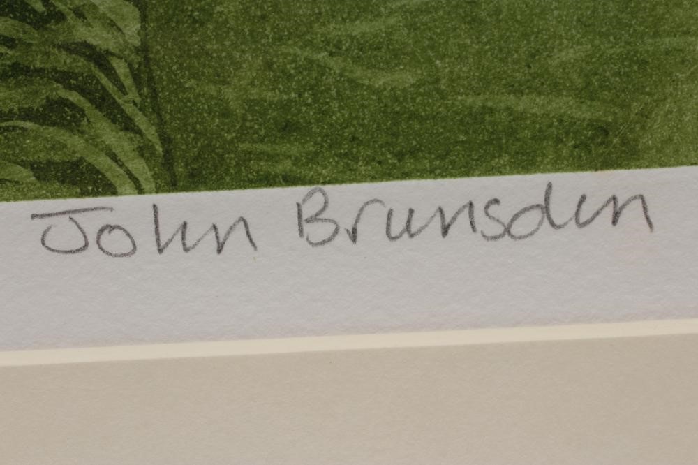 JOHN BRUNSDEN (1933-2014) Image