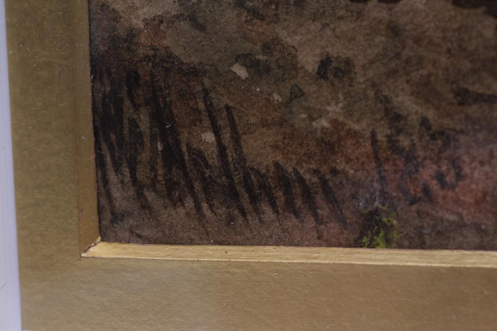 AGNES MCARTHUR (exh.1880-1902) Image