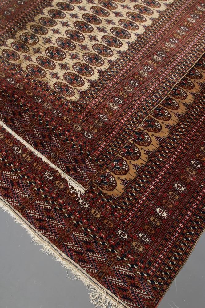 A PAIR OF BOKHARA DESIGN RUGS Image