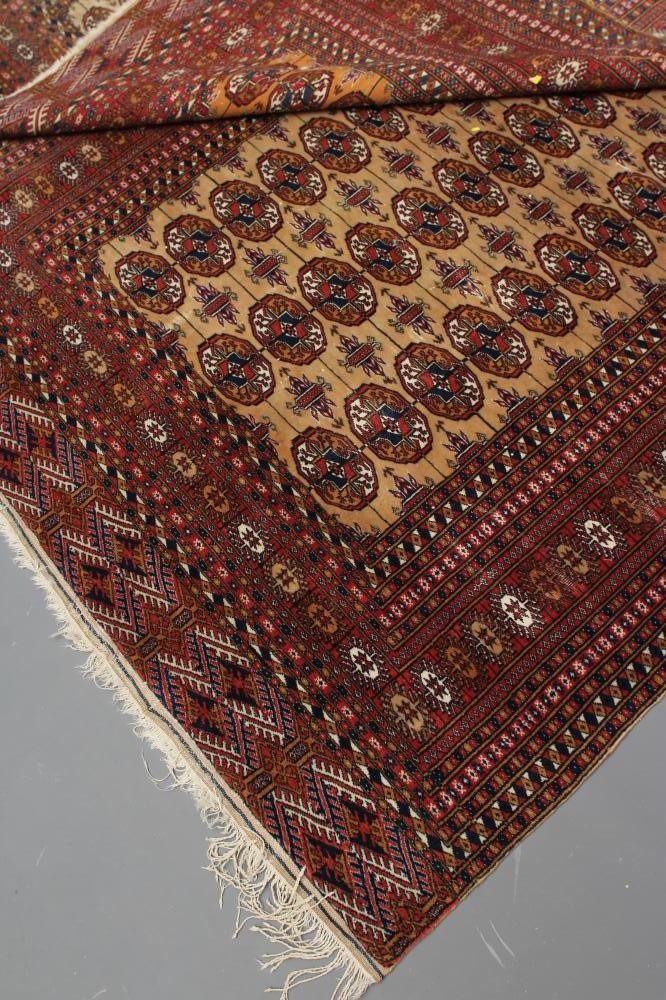 A PAIR OF BOKHARA DESIGN RUGS Image