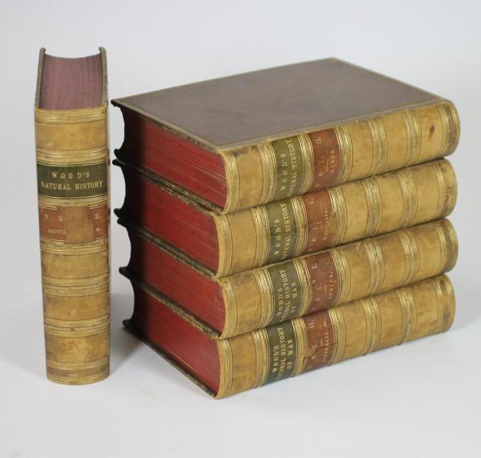 THE ILLUSTRATED NATURAL HISTORY - J.G. Wood - 3 vols. Image