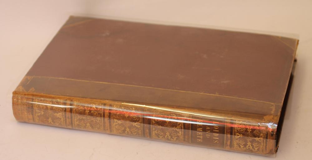 A MANUSCRIPT COPY OF LOIDIS AND ELMETE Image