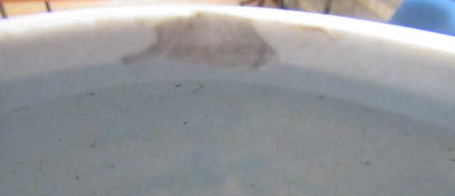 A CHINESE IMARI PORCELAIN JAR painted in underglaze blue and over painted in iron red and burnt Image