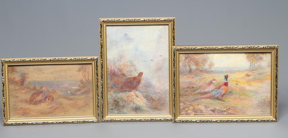 WALTER STINTON Pair of pheasants in open landscape Image