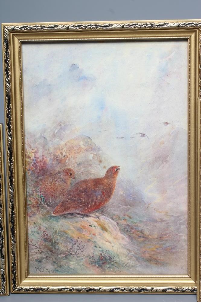 WALTER STINTON Pair of pheasants in open landscape Image