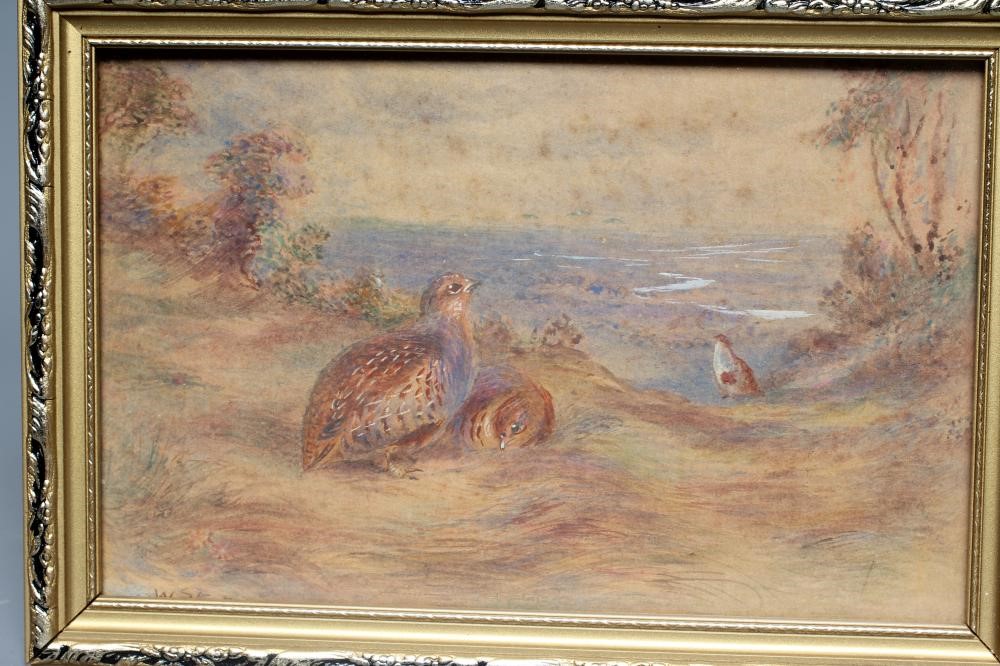 WALTER STINTON Pair of pheasants in open landscape Image