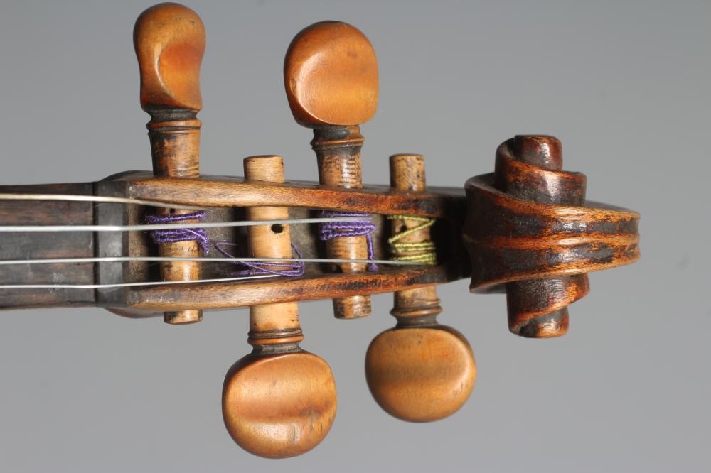 A VIOLIN with 14" one piece back Image