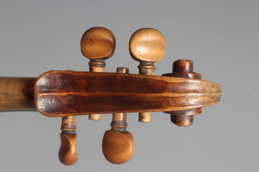 A VIOLIN with 14" one piece back Image