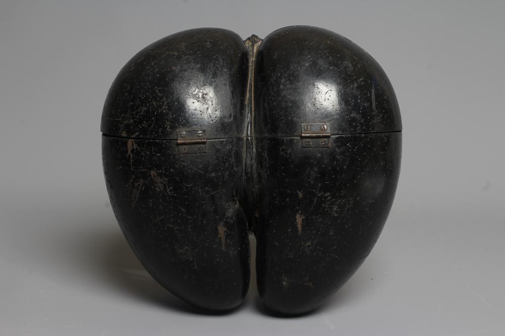 A SEA COCONUT OR COCO DE MER with hinged lid, 10 1/2" h x 11" w x 6" d (Est. plus 24% premium inc. Image
