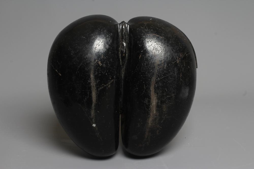 A SEA COCONUT OR COCO DE MER with hinged lid, 10 1/2" h x 11" w x 6" d (Est. plus 24% premium inc. Image