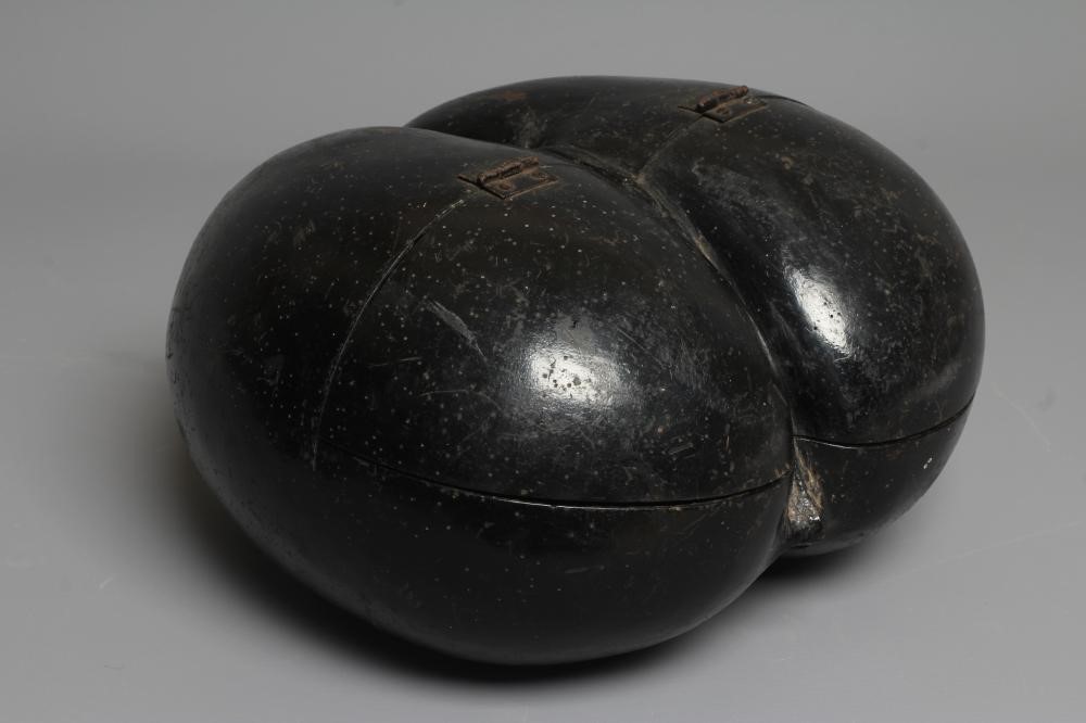 A SEA COCONUT OR COCO DE MER with hinged lid, 10 1/2" h x 11" w x 6" d (Est. plus 24% premium inc. Image