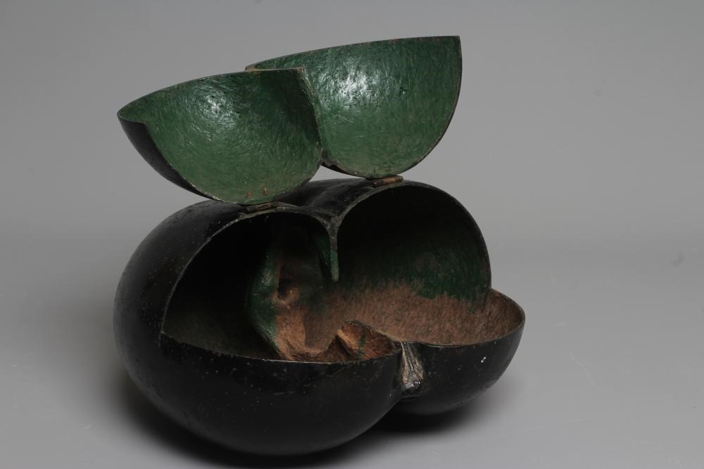 A SEA COCONUT OR COCO DE MER with hinged lid, 10 1/2" h x 11" w x 6" d (Est. plus 24% premium inc. Image