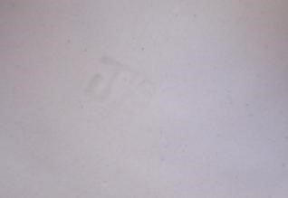 A MOORCROFT POTTERY SOLANUM RHS JAR AND COVER, 2019, designed by Nicola Slaney, 14 of a Ltd. Ed. of Image