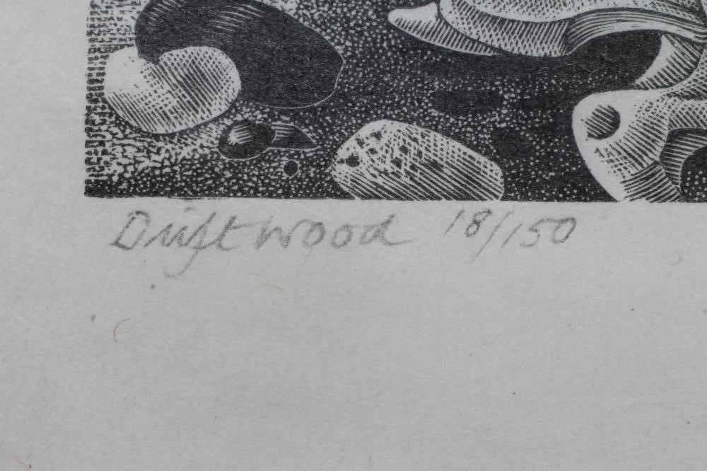 MONICA POOLE (1921-2003) Driftwood Image