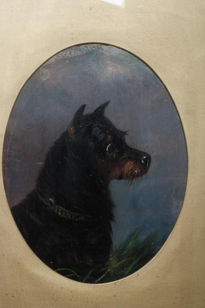 J LANGLOIS (c.1855-1904) Portraits of terriers, a pair, each signed, oil on board, oval, 11" x 8 Image