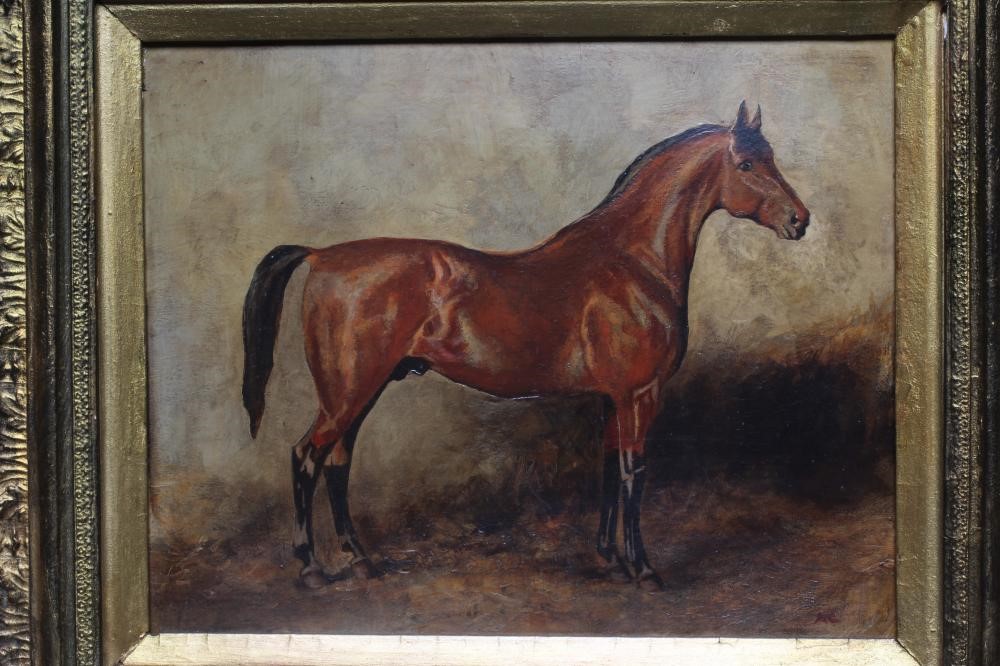 BRITISH SCHOOL (Early 20th Century) Bay Hunter in a Stable, signed with initials AC lower right, oil Image