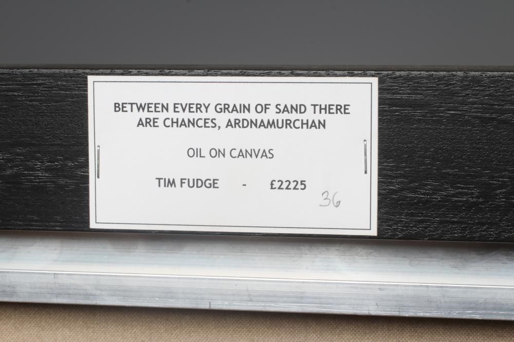 TIM FUDGE (British School Image