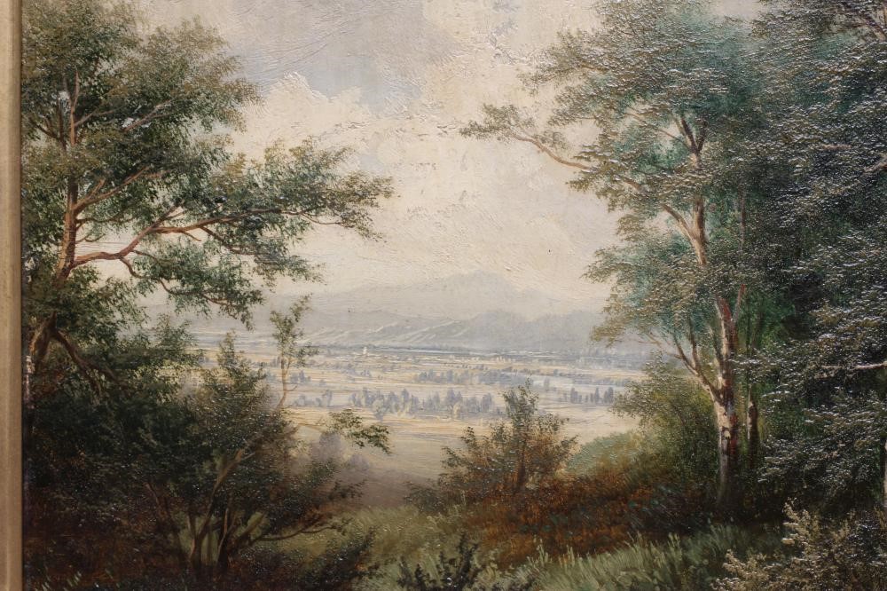 CONTINENTAL SCHOOL (Late 19th Century) View of a Woodland Track with an Open Plain Beyond Image