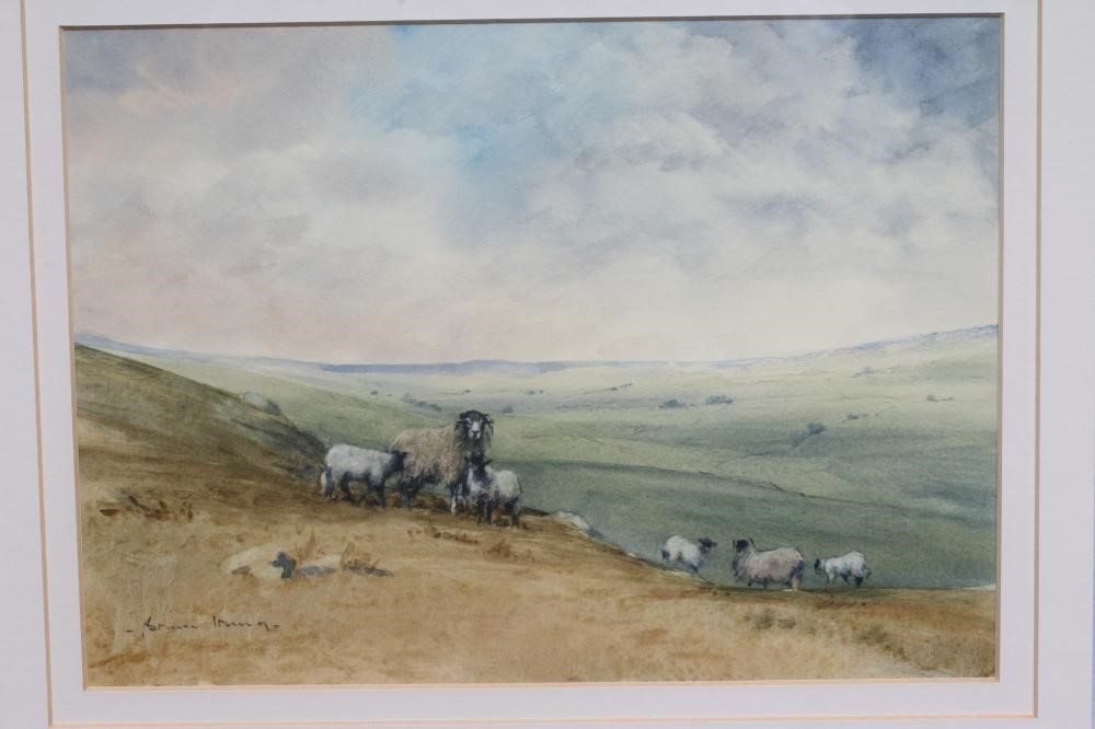BRIAN IRVING (1931-2013) Sheep on Moorland, signed lower left, watercolour, 7" x 9 3/4", framed and Image