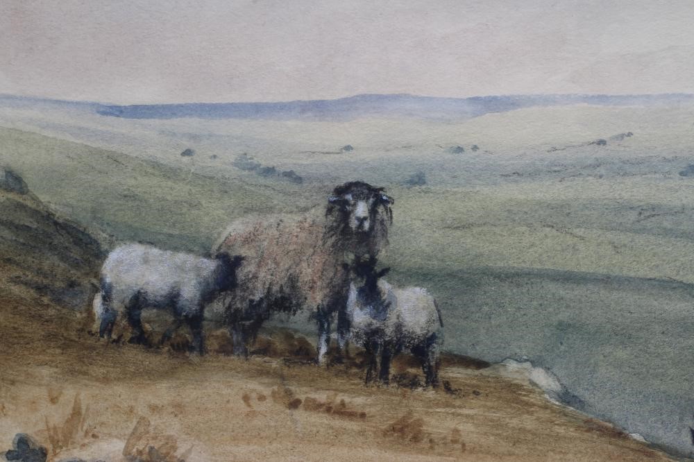 BRIAN IRVING (1931-2013) Sheep on Moorland, signed lower left, watercolour, 7" x 9 3/4", framed and Image