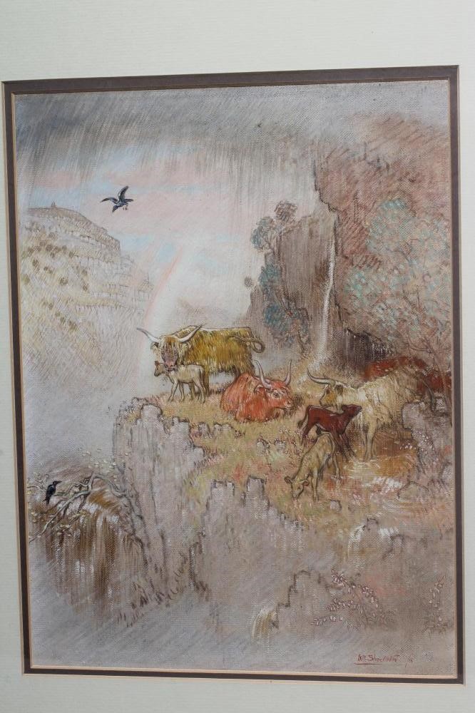 WILLIAM SHACKLETON (1872-1933) Cattle on a Mountain Ledge Image