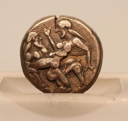 SILVER STATER Image