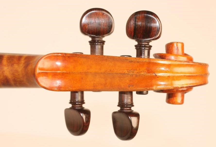 A VIOLIN with one piece back Image