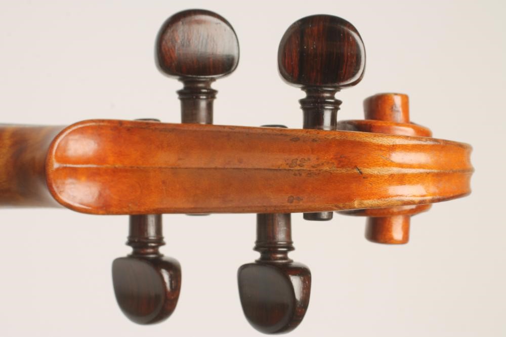 A VIOLIN with one piece back Image