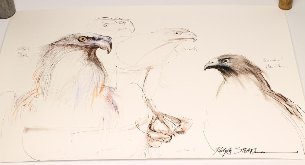 ‡RALPH STEADMAN (b.1936) Image