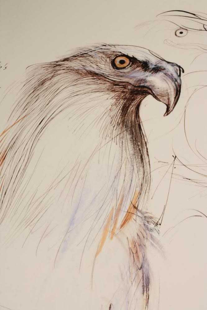 ‡RALPH STEADMAN (b.1936) Image